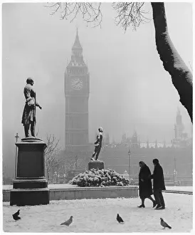 Pigeons: SNOWY LONDON