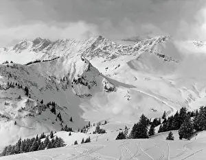 Ad Lib Studios: SNOWY MOUNTAINS