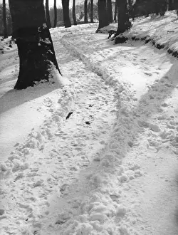 Accrington: SNOWY PARK