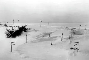 Completely: Snowy street on the Eastern Front, 1943