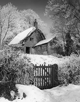 Harlestone: SNOWY THATCHED COTTAGE