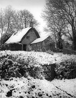 Harlestone: SNOWY THATCHED COTTAGE