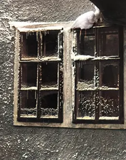 Panes: SNOWY WINDOW