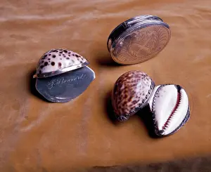 Stannard: Snuff boxes