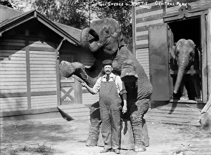 Snyder: Bill Snyder, elephant trainer, and Hattie ?