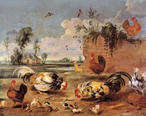 Cocks: Snyders, Frans (1579-1657)