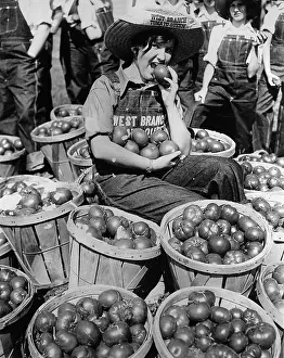 Callie: The so-called Queen of Tomato Carnival