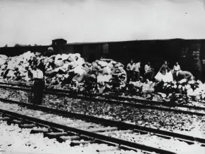 Deportations: The so-called selection at the railway