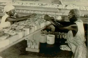 Communes: Soap factory and workers at People's Temple ?