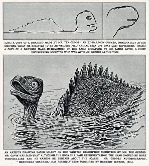 Gavin: Soay Sea Monster