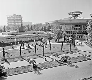 Shulepov: Sochi, 1975