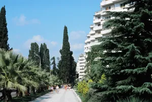 Krasnodar: Sochi in pictures, 1984