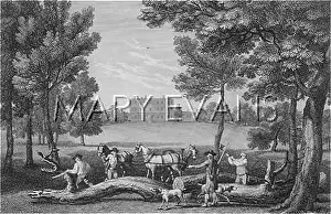 Caversham: SOCIAL/CAVERSHAM PARK