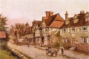 Chiddingstone: SOCIAL/CHIDDINGSTONE