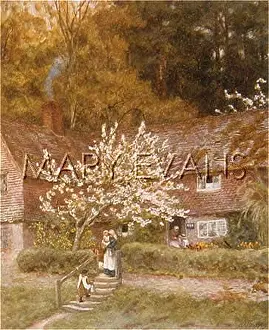 Chiddingfold: SOCIAL/FETCHING MILK