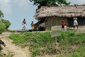 Pygmies: Social Scenes - Congo - 2009