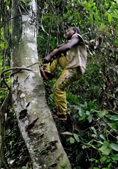 Pygmies: Social Scenes - Congo - 2009