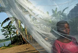 Pygmies: Social Scenes - Congo - 2009