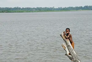 Pygmies: Social Scenes - Congo - 2009