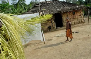 Pygmies: Social Scenes - Congo - 2009