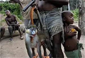 Baka: Social Scenes - Congo - 2009