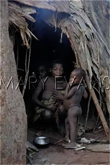 Baka: Social Scenes - Congo - 2009