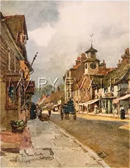 Steyning: SOCIAL/STEYNING/RURAL
