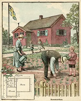 Veggies: SOCIAL/SWEDEN/COUNTRY