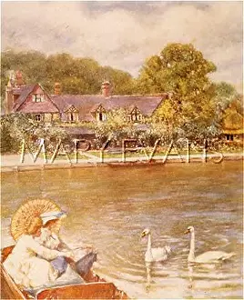 Streatley: SOCIAL/THAMES SWANS 20C