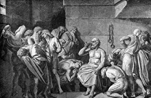 Hemlock: Socrates