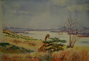 Soda: Soda Lake, Magadi