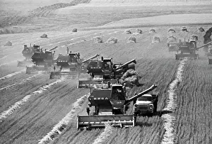 Swath: Sofievsky State Farm in Ipatov District
