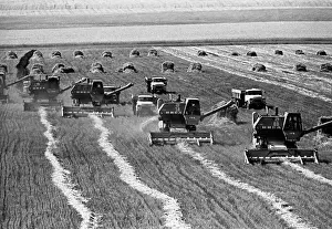 Swath: Sofievsky State Farm in Ipatov District