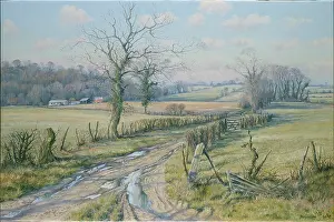 Mervyn: Soft March Sunshine ' Hampshire