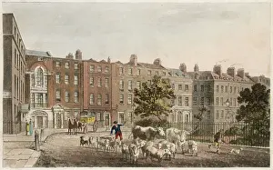 Drover: SOHO SQUARE, LONDON 1812