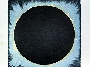 Corona: Solar corona and prominences 1860. Observations