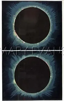 Protuberances: SOLAR ECLIPSE 1860