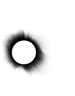 Proved: Solar Eclipse, 1919, Negative Image