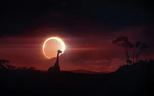 Corona: Solar eclipse over Africa