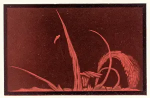 Flares: SOLAR FLARES