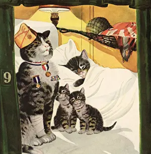 Bandaged: Soldier Cat