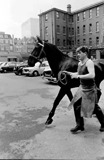 Horseguards: Soldier leading a horse