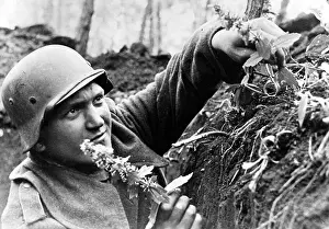 Soldier Picking Flowers