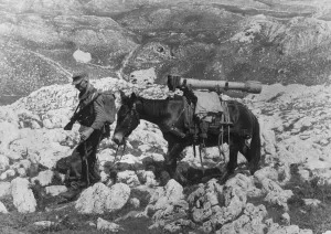 Macedonian: Soldier of the Waffen-SS in Macedonia