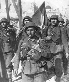 Application: Soldiers of the Blue Division at the eastern Front, 1941