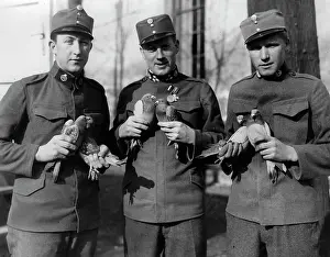 Homing: Soldiers with carrier pigeons