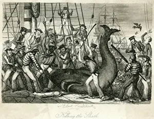 Hack: SOLDIERS CATCH SHARK