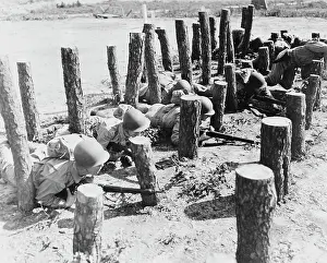 Crawling: Soldiers crawl through an obstacle of pine