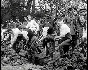 Pickaxes: Soldiers Digging A Shallow Trench Using Pickaxes