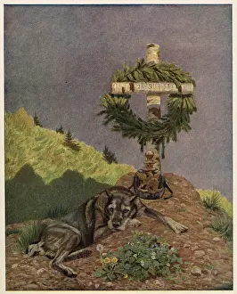 Mourns: SOLDIER'S DOG MOURNS